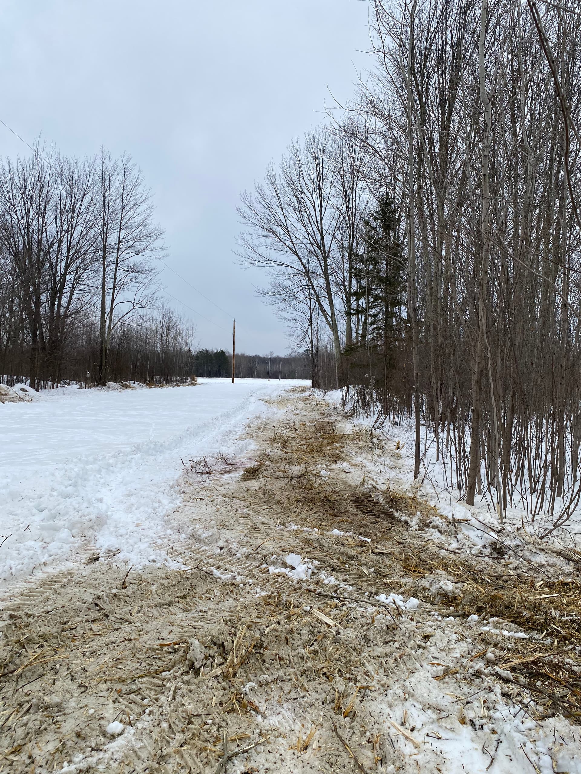 Gallery photos for Efficient Winter Land Clearing by Brush Busters: Image #6
