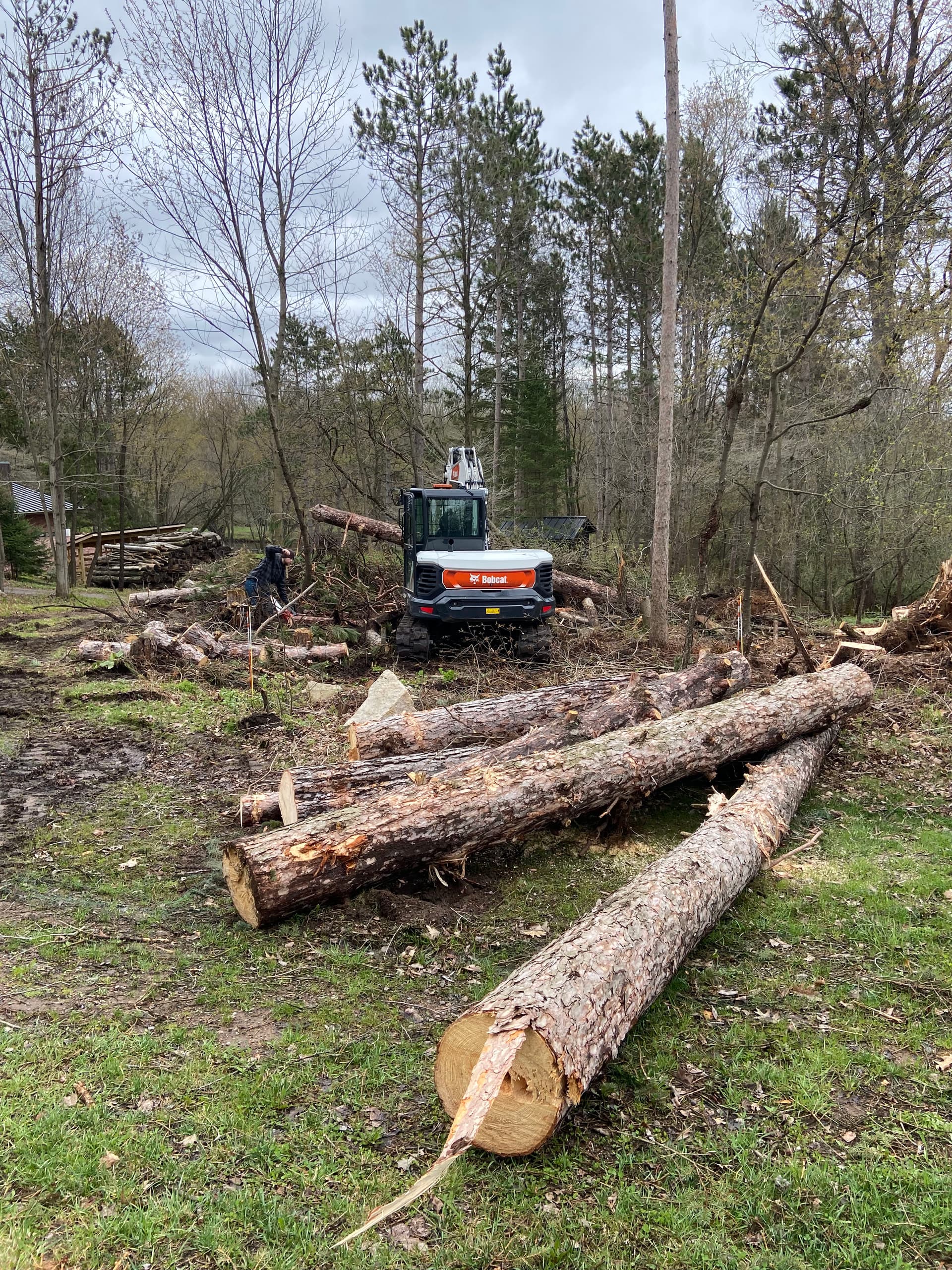 Gallery photos for Storm Damage Cleanup and Land Clearing Near Ringle: Image #5