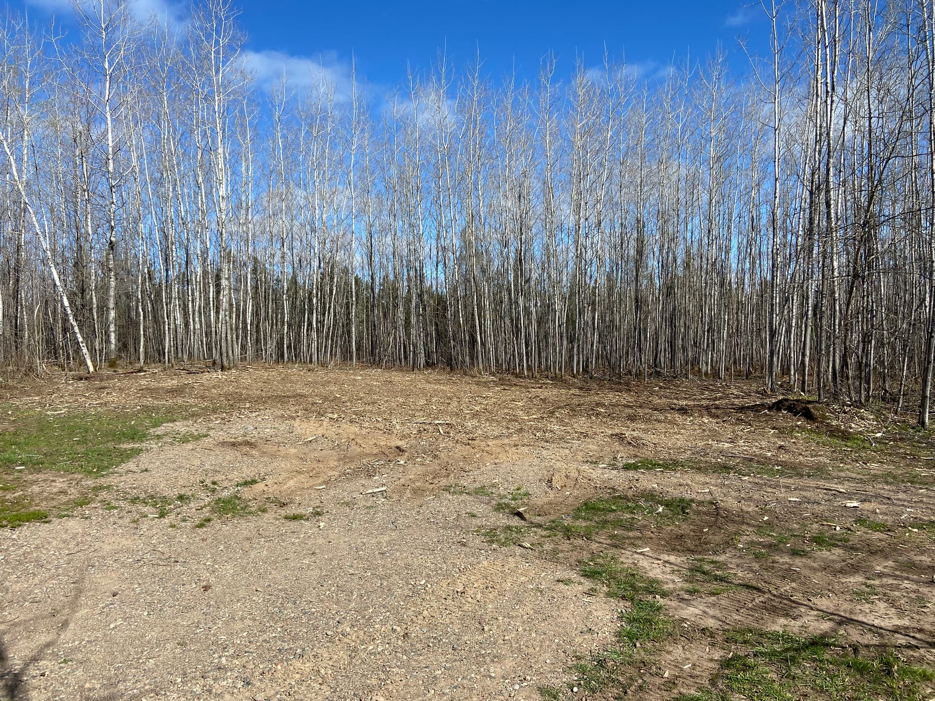 Gallery photos for Driveway Widening and Cabin Site Clearing Done Right: Image #3