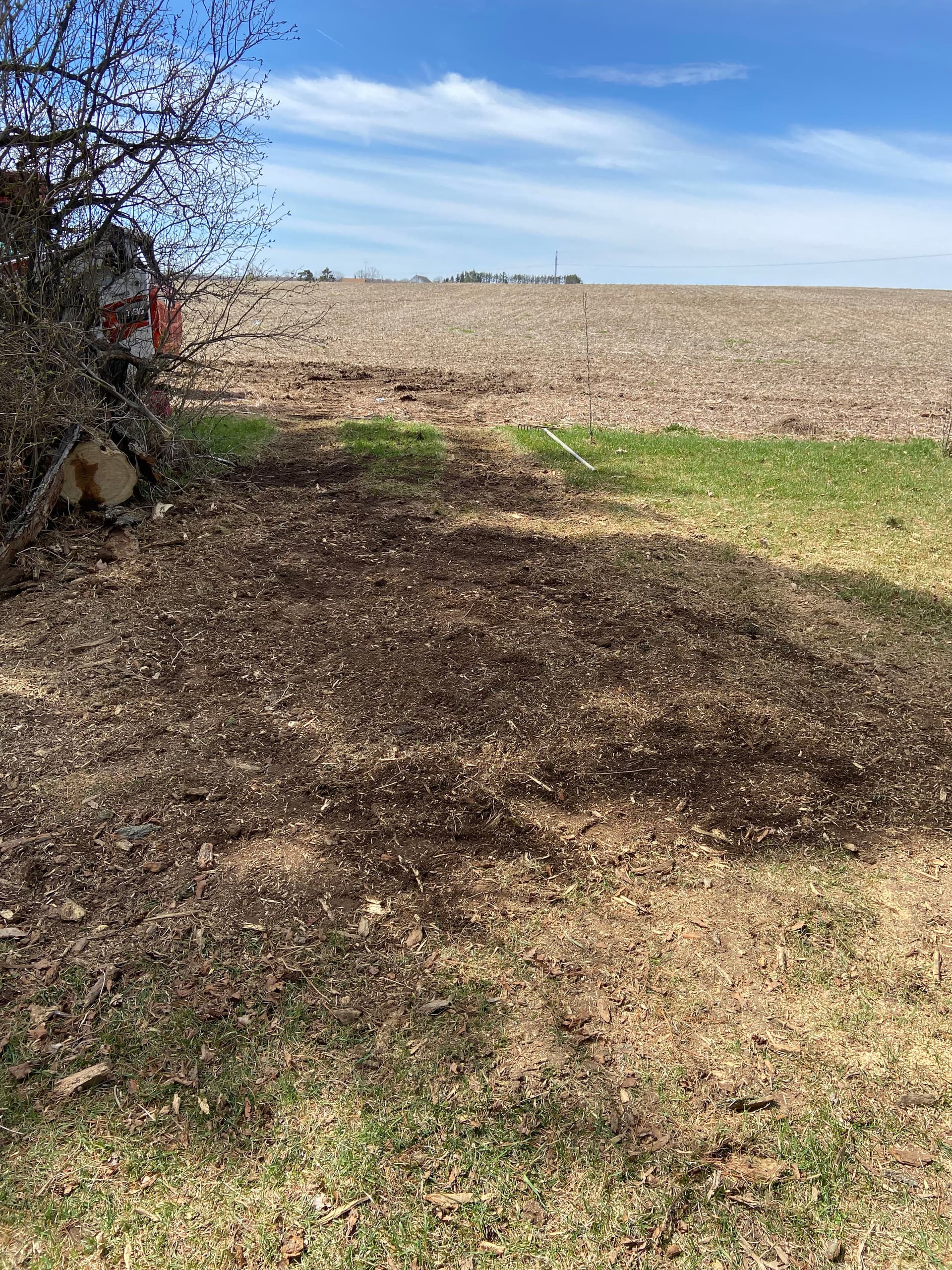 Gallery photos for No Stump Too Big - We Grind It or Rip It Out: Image #5