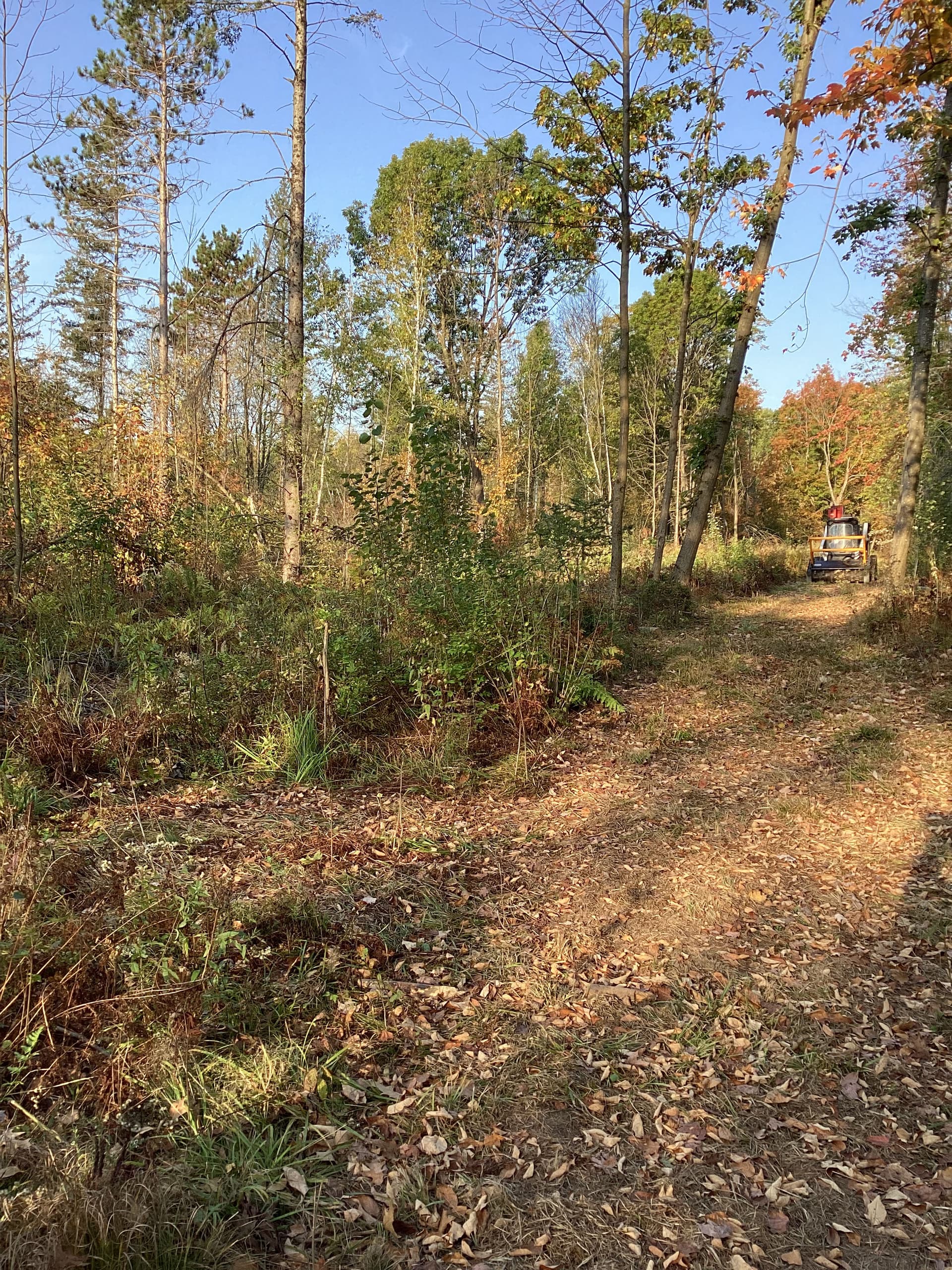 Clearing Paths and Maintaining Land in Merrill image
