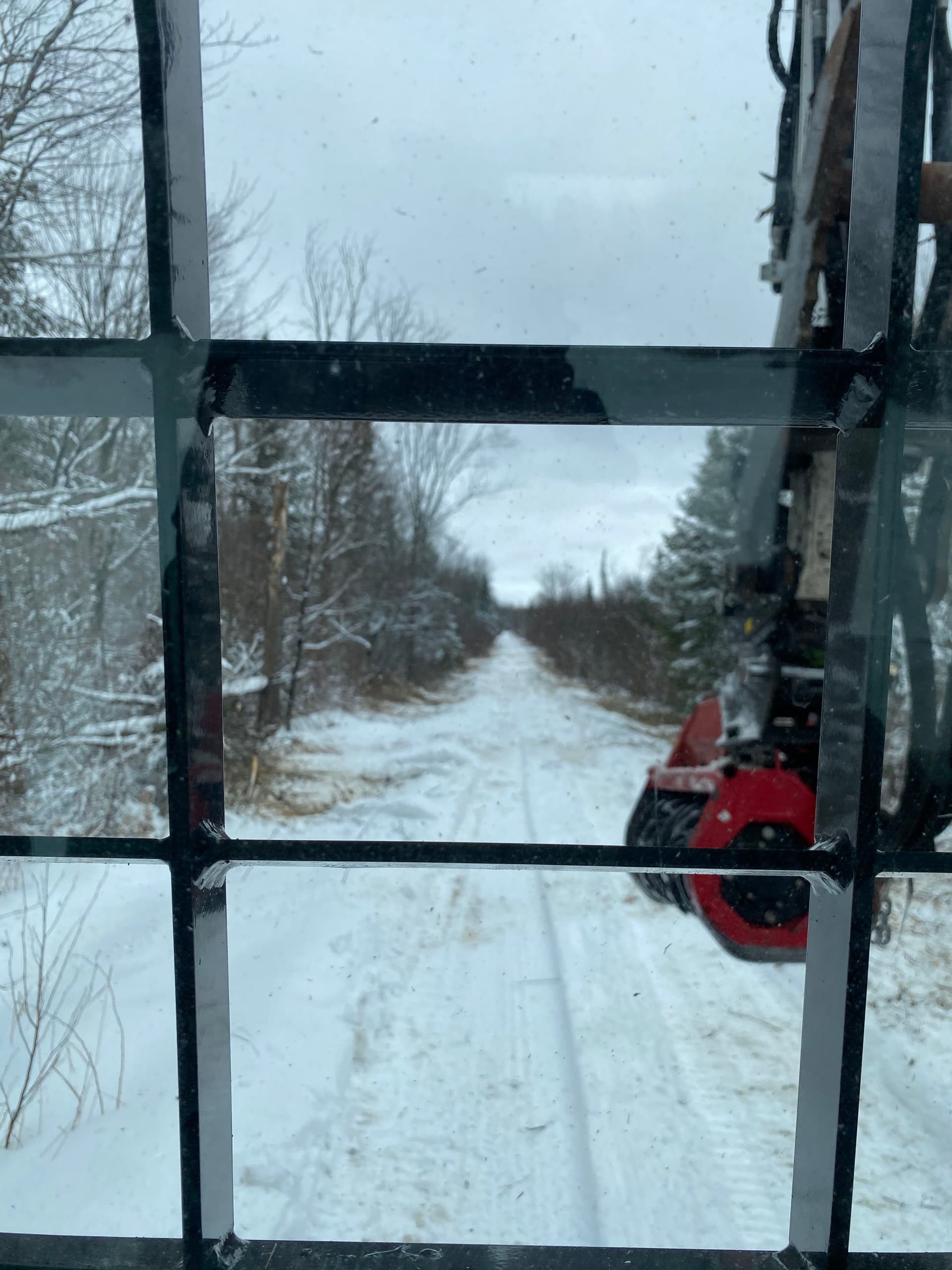 Gallery photos for Winter Land Clearing Success with Brush Busters: Image #6