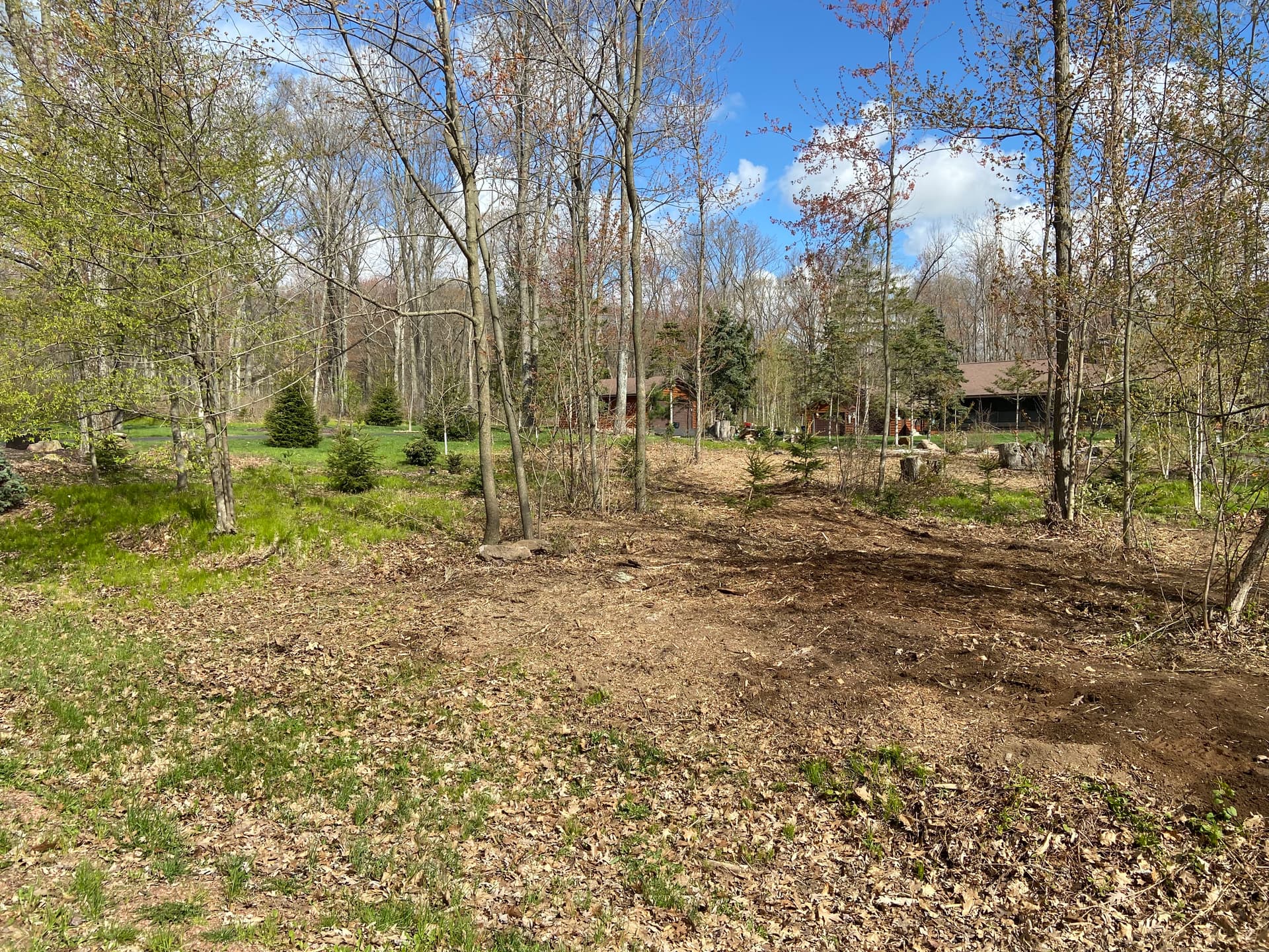 Gallery photos for Front Yard Land Clearing Opens Up Space in Mosinee: Image #4
