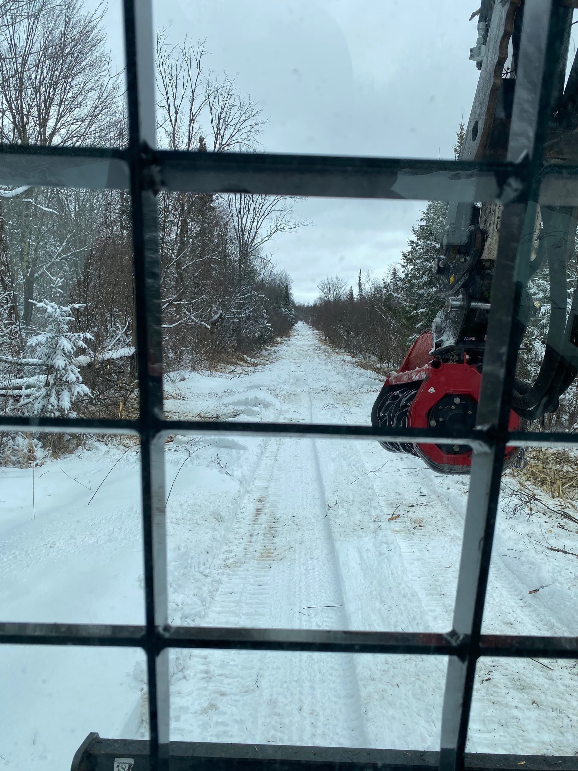 Gallery photos for Winter Land Clearing Success with Brush Busters: Image #7