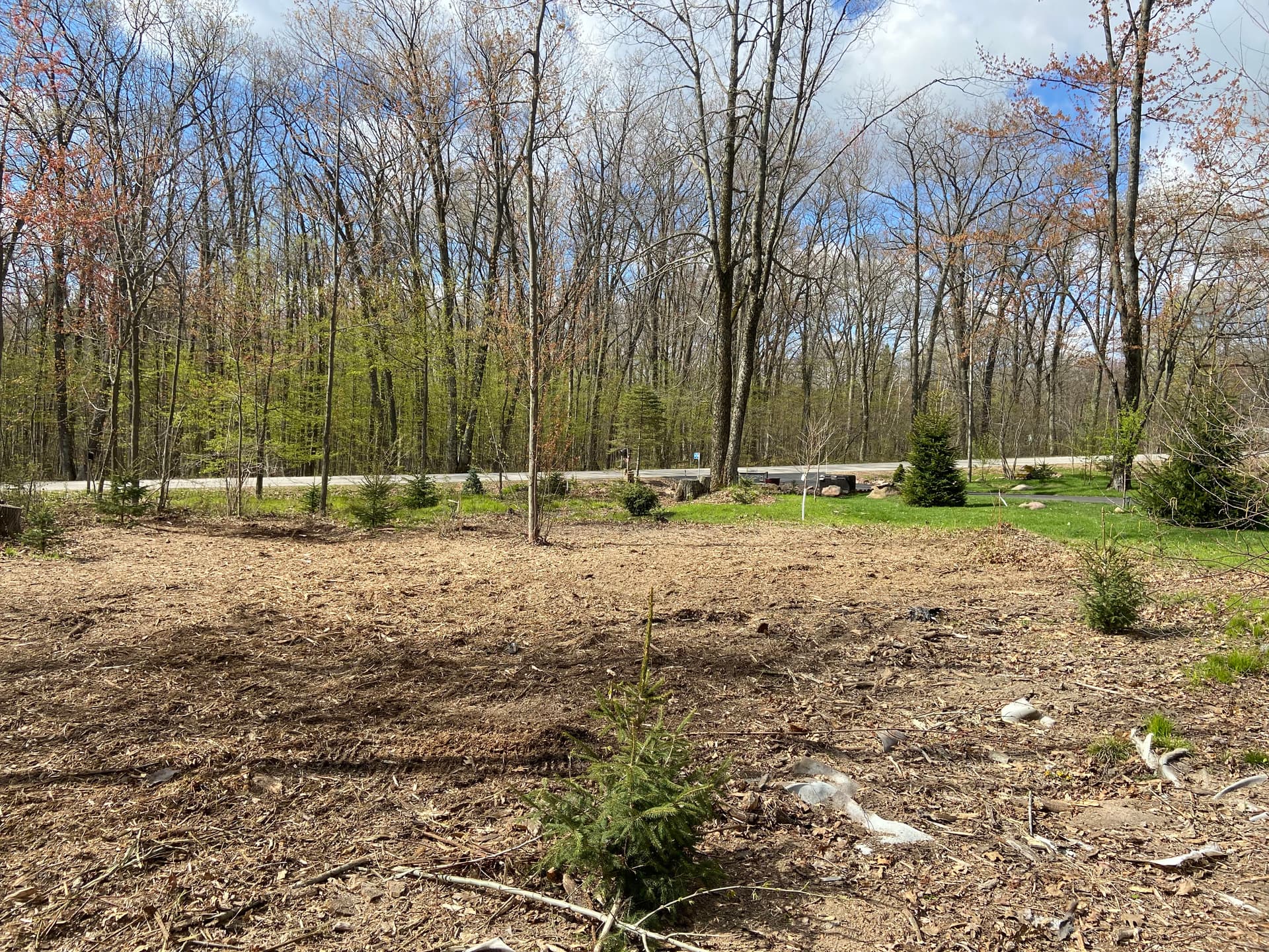 Gallery photos for Front Yard Land Clearing Opens Up Space in Mosinee: Image #6