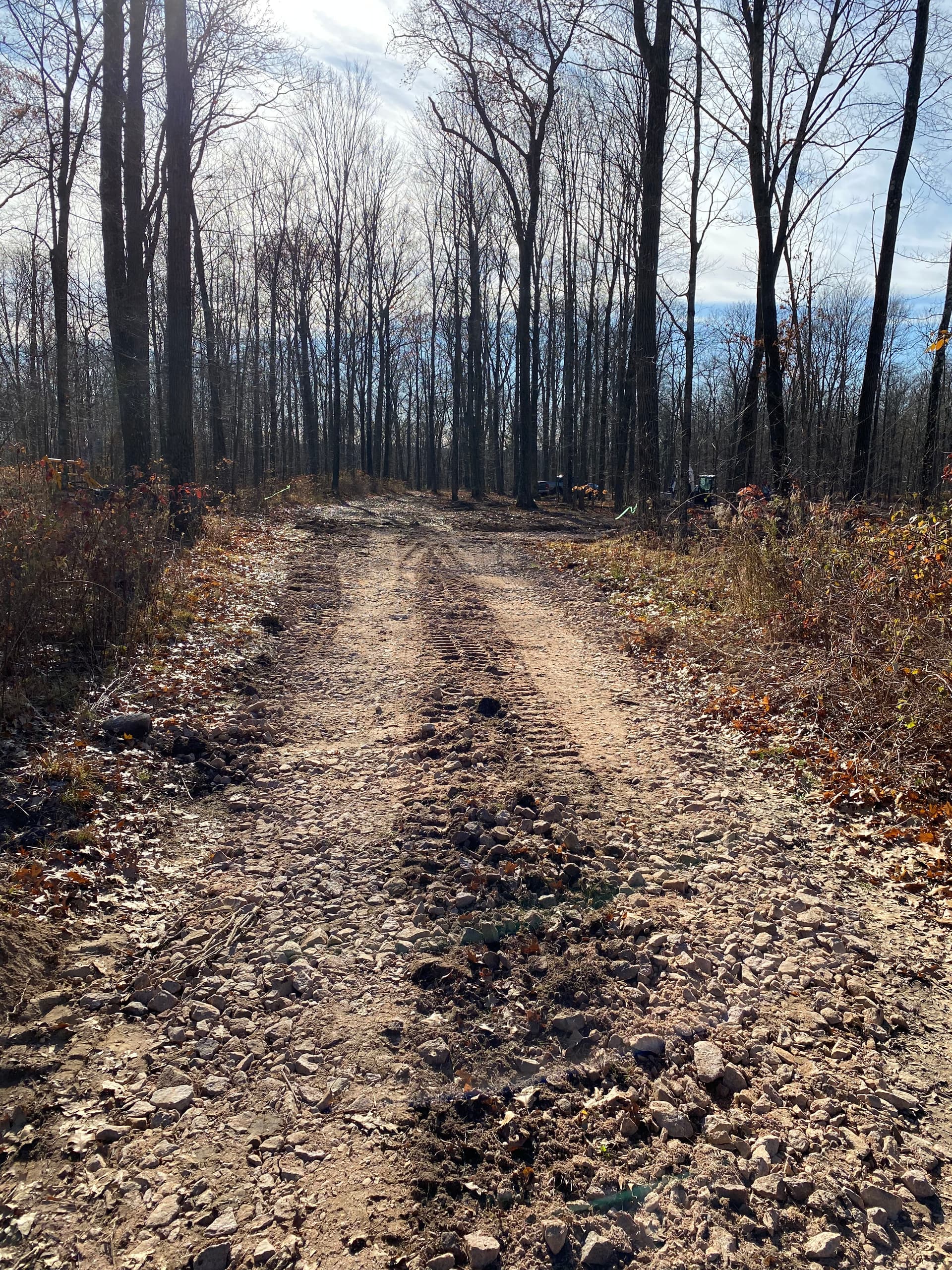 Gallery photos for Transforming Woodland into Landscaped Driveways: Image #2