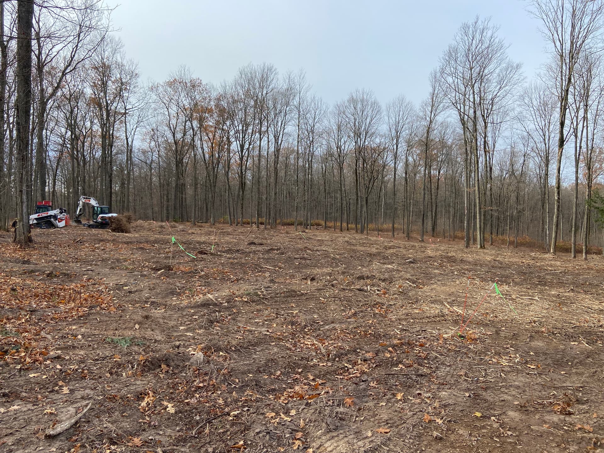 Gallery photos for Wooded Land Cleared and Ready to Build: Image #2