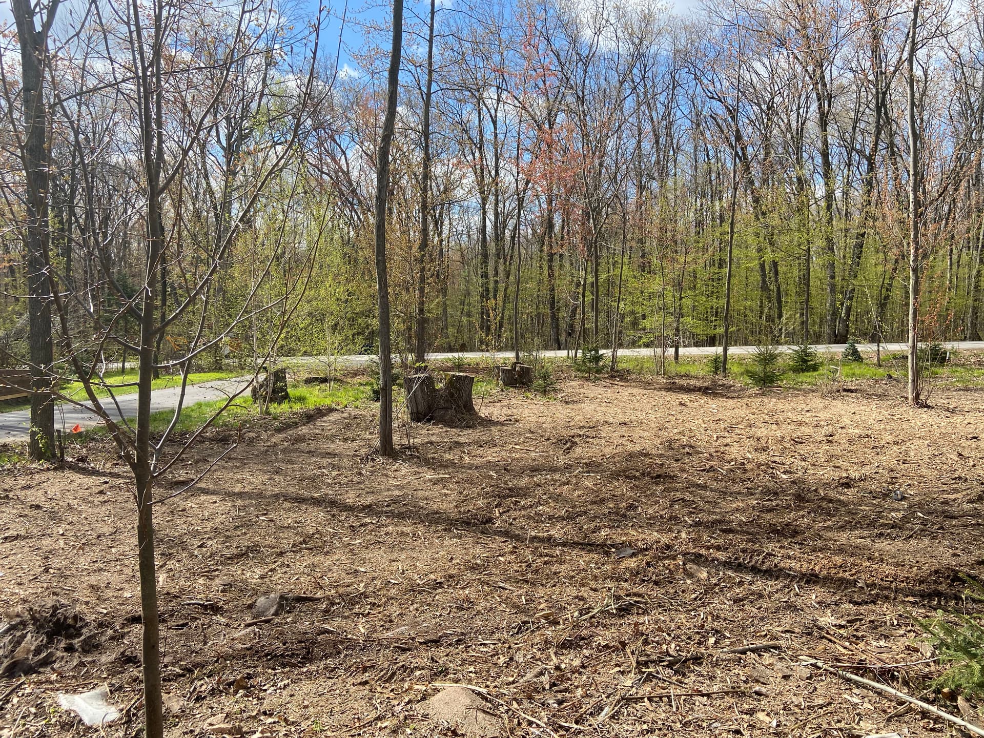 Gallery photos for Front Yard Land Clearing Opens Up Space in Mosinee: Image #5