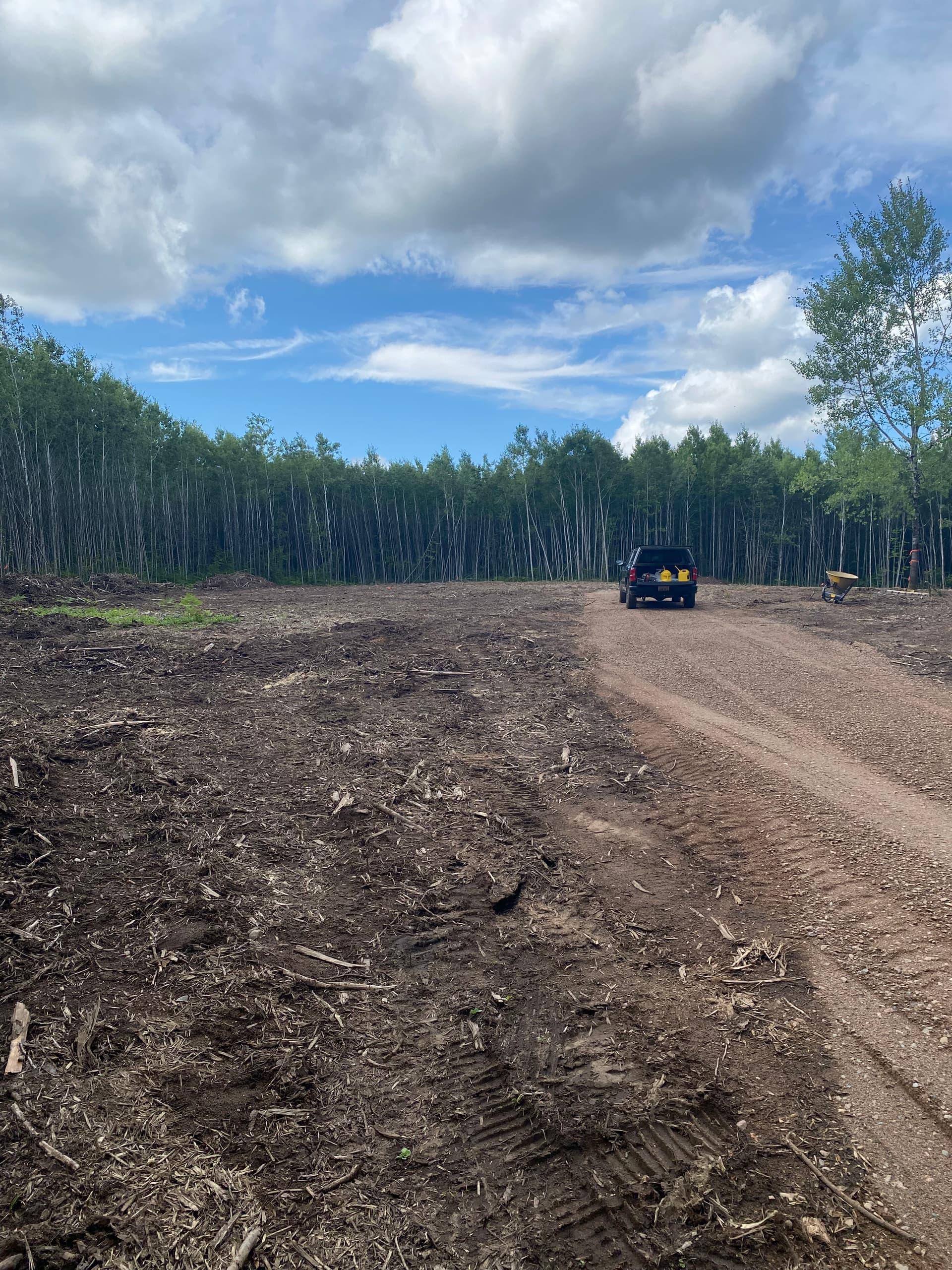 Gallery photos for Crafting a New Path Through Nature with Expert Clearing and Grading: Image #3