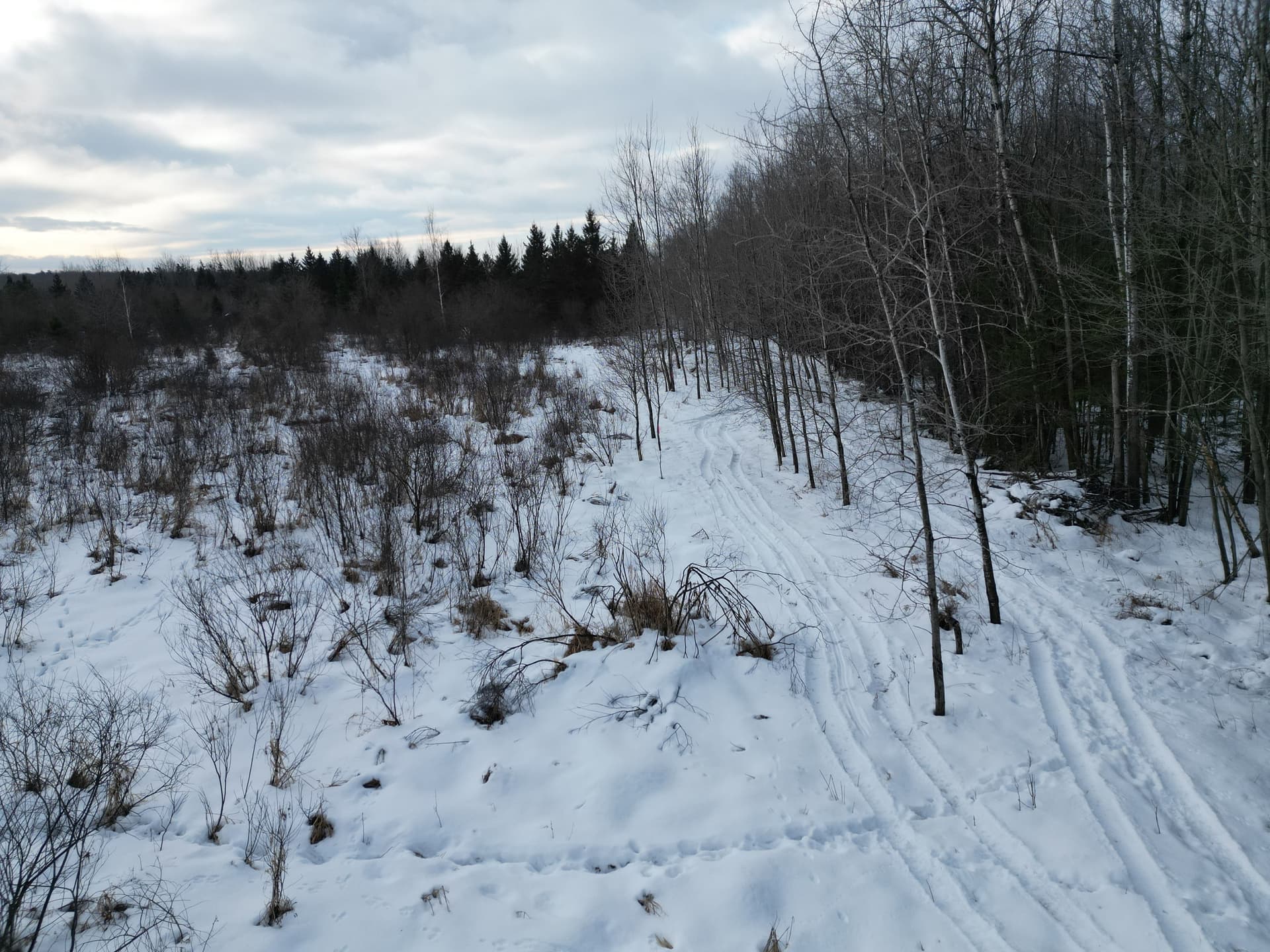 Gallery photos for Creating Clear Shooting Lanes in Hewitt: Image #4