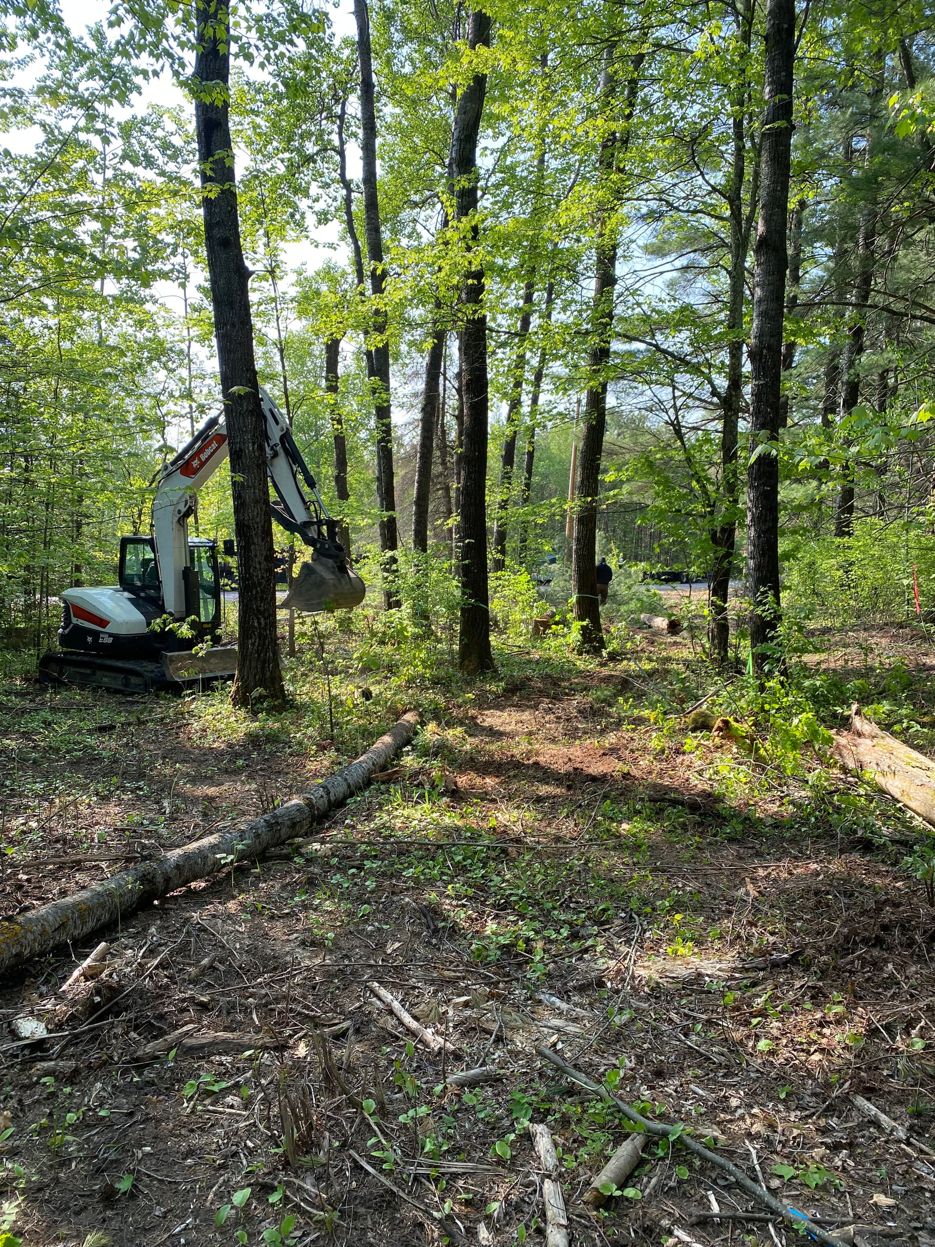 Gallery photos for Crafting a New Path Through Nature with Expert Clearing and Grading: Image #5