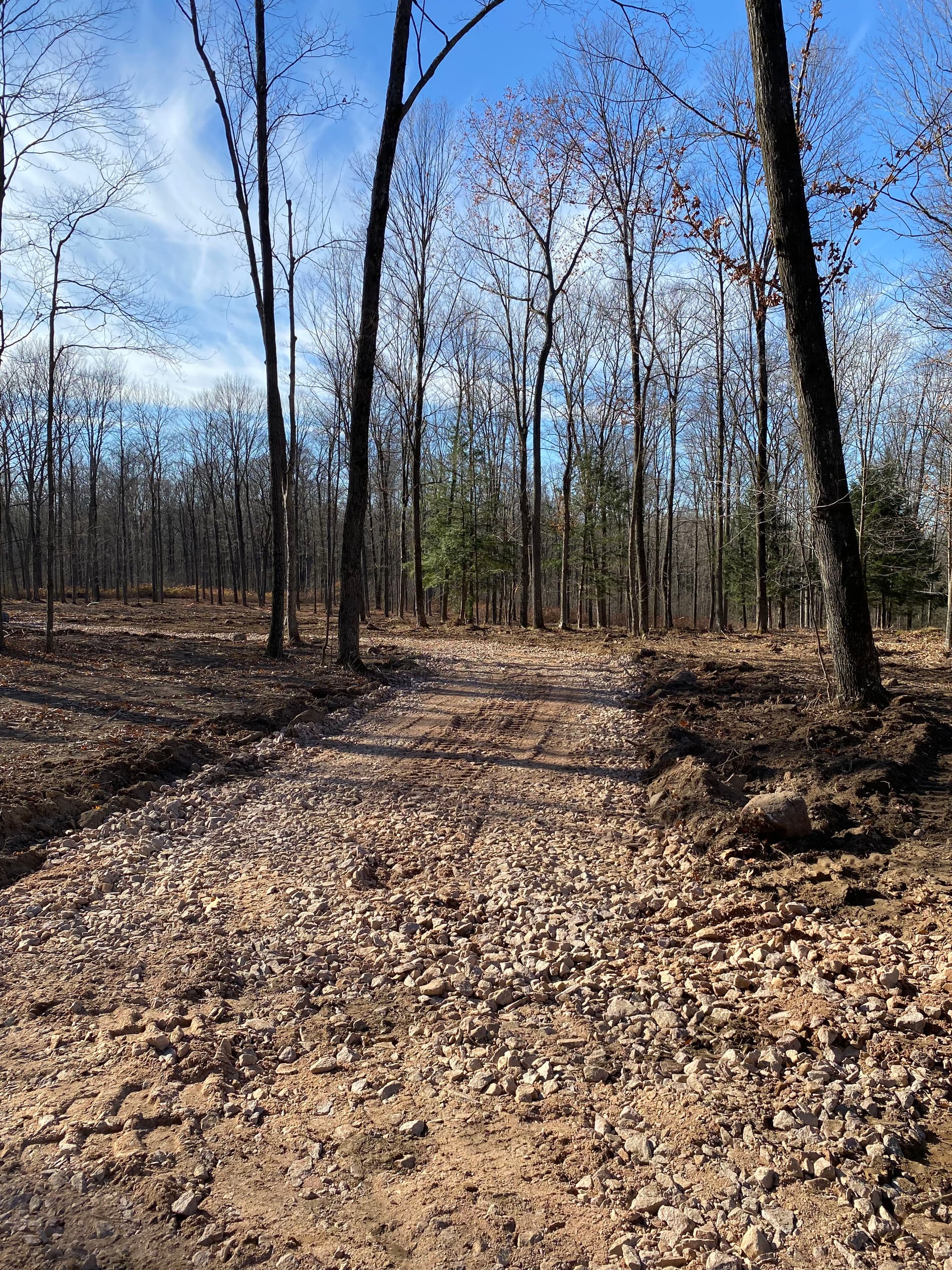 Gallery photos for Wooded Land Cleared and Ready to Build: Image #3