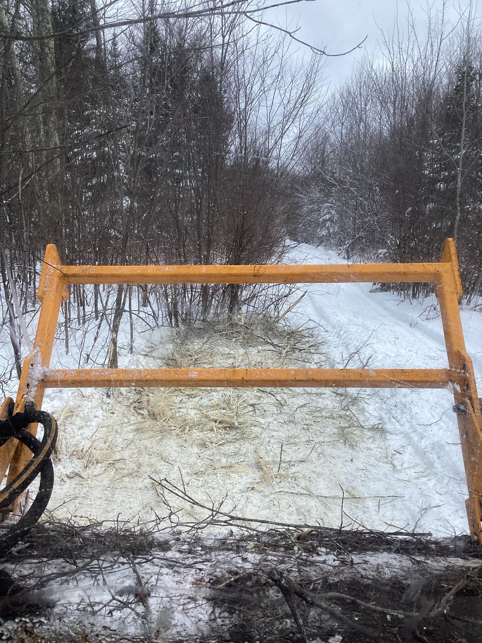 Gallery photos for Winter Land Clearing Success with Brush Busters: Image #5